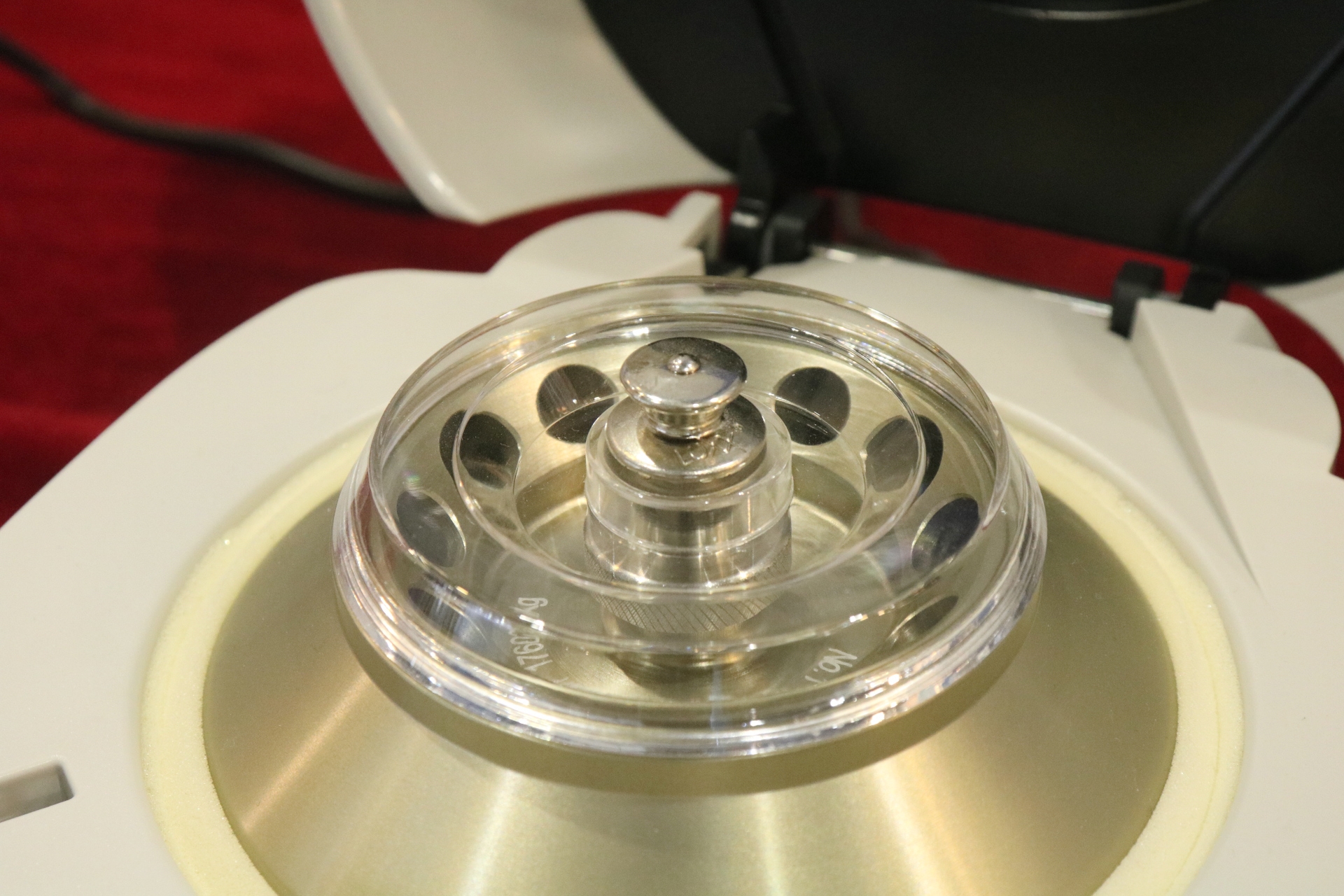 С����99��(�й���) - �ٷ���վ