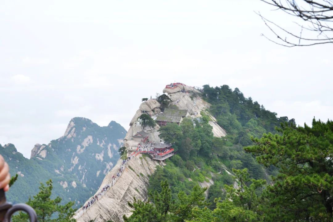 С����99��(�й���) - �ٷ���վ