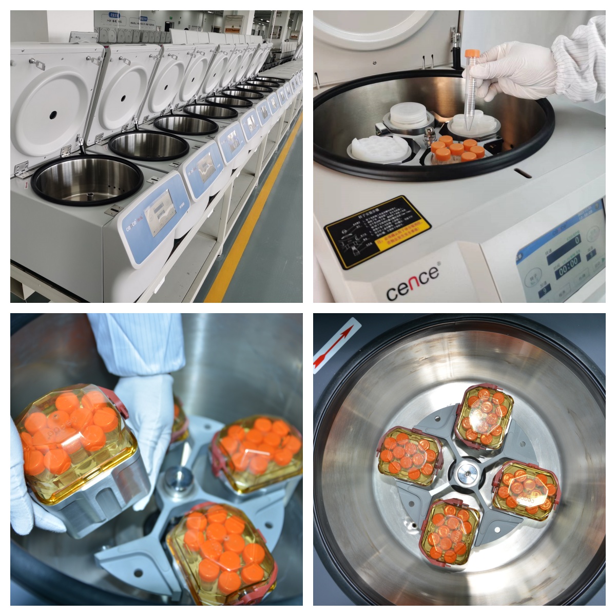 С����99��(�й���) - �ٷ���վ